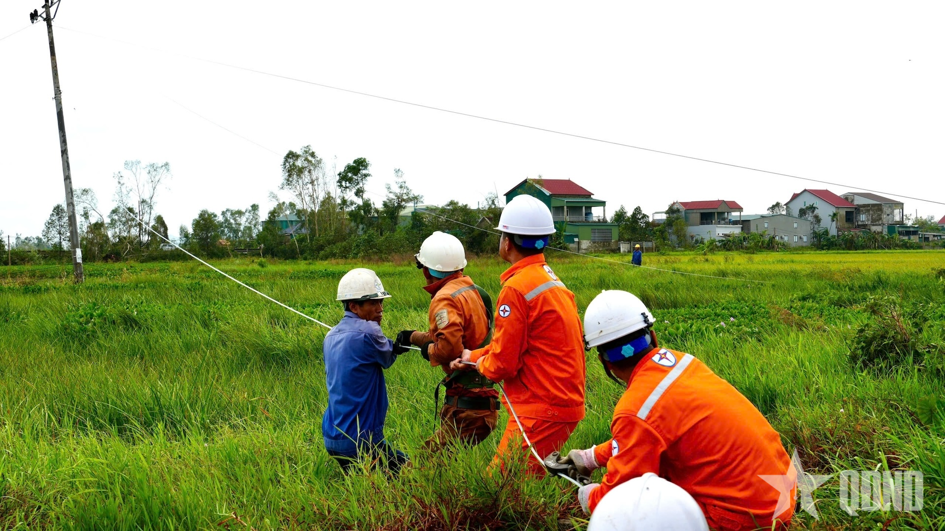 Tổng công ty Điện lực miền Bắc: 56 năm một chặng đường đầy tự hào